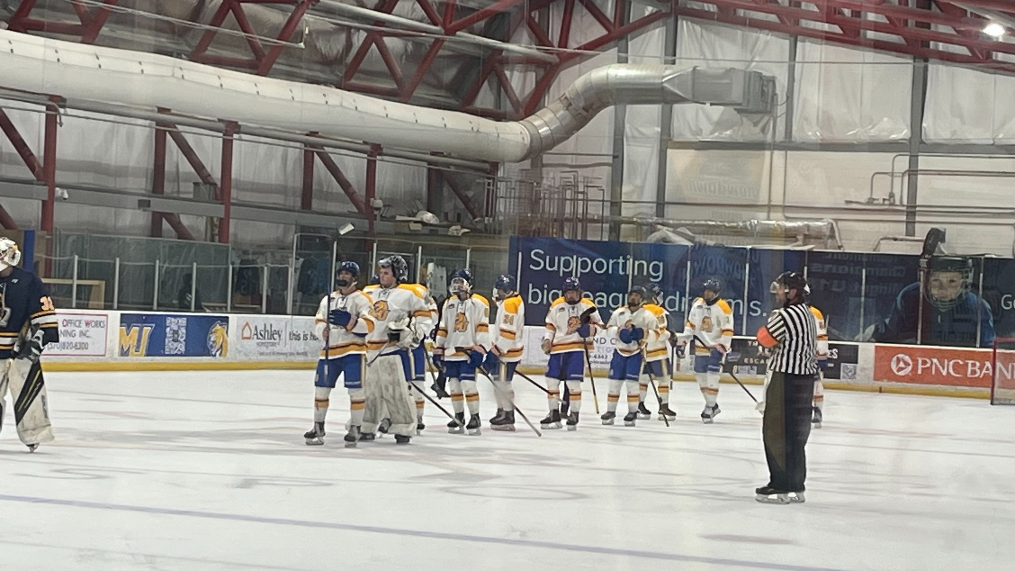 Hockey team lined up on the ice